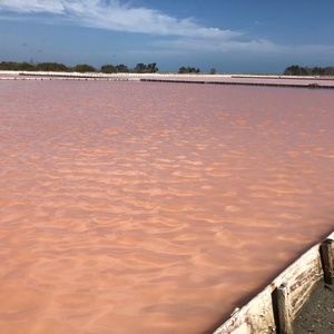 Meet your Posher, Julisa